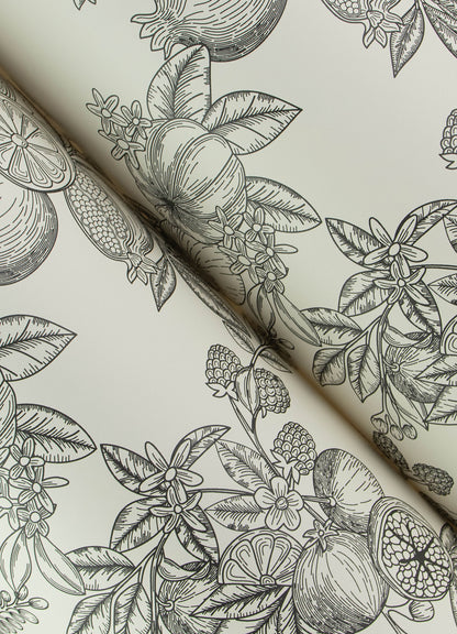 York Wallcoverings A-Street Prints Gerty Black Fruit Toile Wallpaper Botanical Modern Black  Wallpaper - 4173-27637