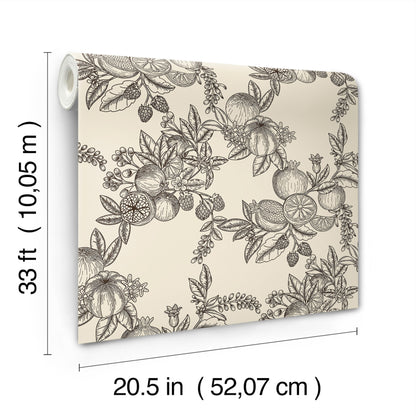 York Wallcoverings A-Street Prints Gerty Black Fruit Toile Wallpaper Botanical Modern Black  Wallpaper - 4173-27637