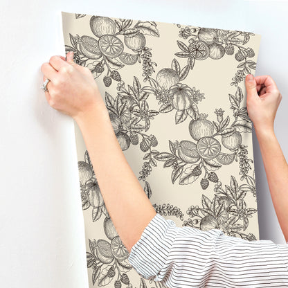 York Wallcoverings A-Street Prints Gerty Black Fruit Toile Wallpaper Botanical Modern Black  Wallpaper - 4173-27637