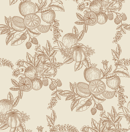 York Wallcoverings A-Street Prints Gerty Copper Fruit Toile Wallpaper Botanical Modern Copper  Wallpaper - 4173-27638