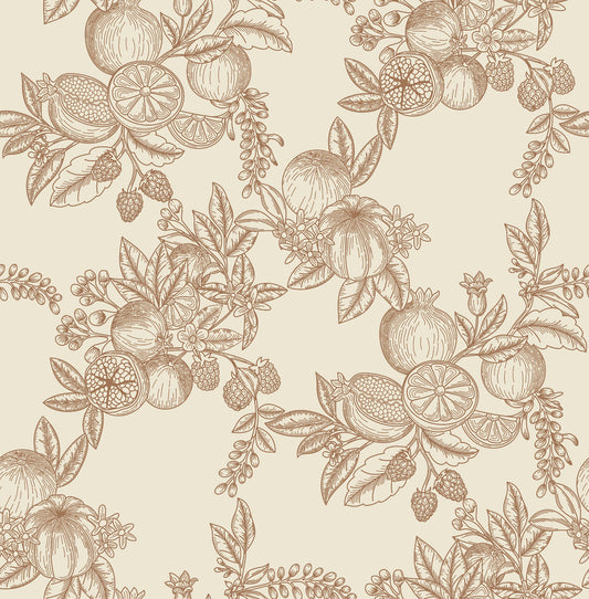 York Wallcoverings A-Street Prints Gerty Copper Fruit Toile Wallpaper Botanical Modern Copper  Wallpaper - 4173-27638