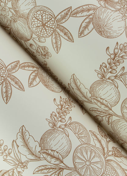 York Wallcoverings A-Street Prints Gerty Copper Fruit Toile Wallpaper Botanical Modern Copper  Wallpaper - 4173-27638