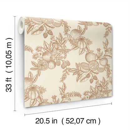 York Wallcoverings A-Street Prints Gerty Copper Fruit Toile Wallpaper Botanical Modern Copper  Wallpaper - 4173-27638
