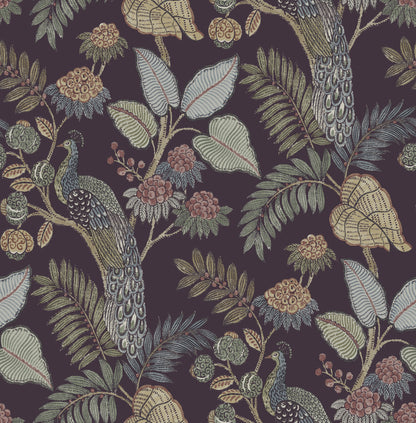 York Wallcoverings A-Street Prints Geneva Plum Peacock Paradise Wallpaper Animals Modern Plum  Wallpaper - 4173-27644