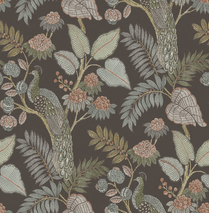 York Wallcoverings A-Street Prints Geneva Chocolate Peacock Paradise Wallpaper Animals Modern Chocolate  Wallpaper - 4173-27647