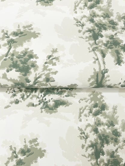 York Wallcoverings A-Street Prints Sainsbury Sage Forest Wallpaper Botanical Traditional Sage  Wallpaper - 4173-82104