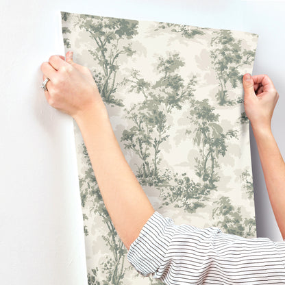 York Wallcoverings A-Street Prints Sainsbury Sage Forest Wallpaper Botanical Traditional Sage  Wallpaper - 4173-82104