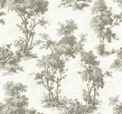 York Wallcoverings A-Street Prints Sainsbury Slate Forest Wallpaper Botanical Traditional Slate  Wallpaper - 4173-82107