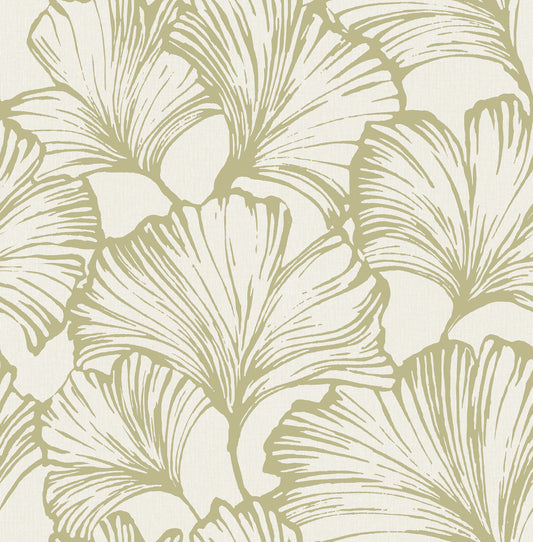 York Wallcoverings A-Street Prints Kyoto Moss Ginkgo Leaf Wallpaper Botanical Modern Moss  Wallpaper - 4177-27714