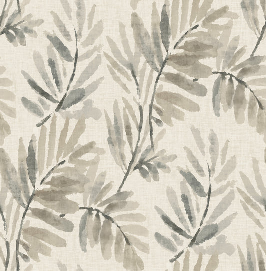 York Wallcoverings A-Street Prints Serenade Grey Ferns Wallpaper Botanical Farmhouse Grey  Wallpaper - 4177-27741