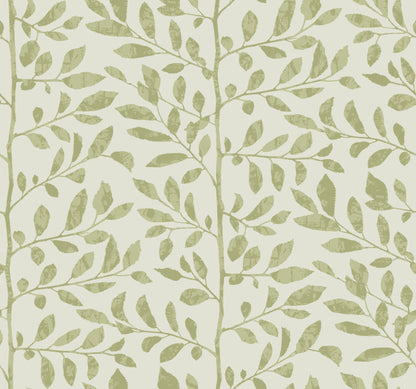 York Wallcoverings A-Street Prints Sagecrest Sage Sapling Wallpaper Botanical Modern Sage  Wallpaper - 4177-83305