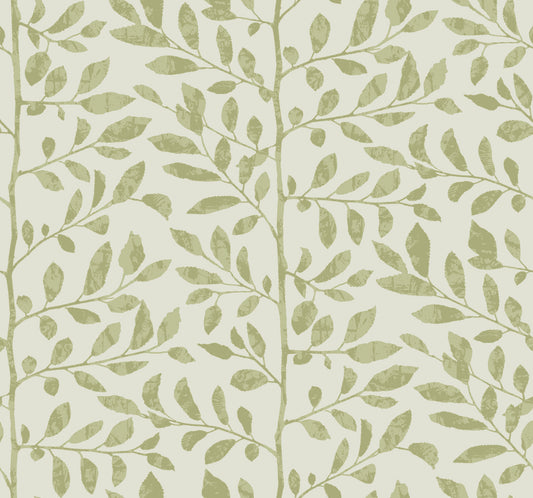 York Wallcoverings A-Street Prints Sagecrest Sage Sapling Wallpaper Botanical Modern Sage  Wallpaper - 4177-83305