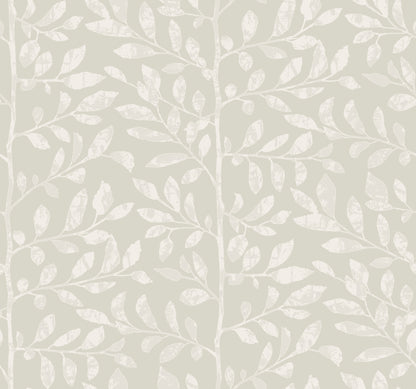 York Wallcoverings A-Street Prints Sagecrest Light Grey Sapling Wallpaper Botanical Modern Light Grey  Wallpaper - 4177-83307