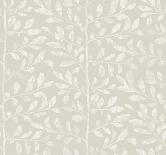 York Wallcoverings A-Street Prints Sagecrest Light Grey Sapling Wallpaper Botanical Modern Light Grey  Wallpaper - 4177-83307