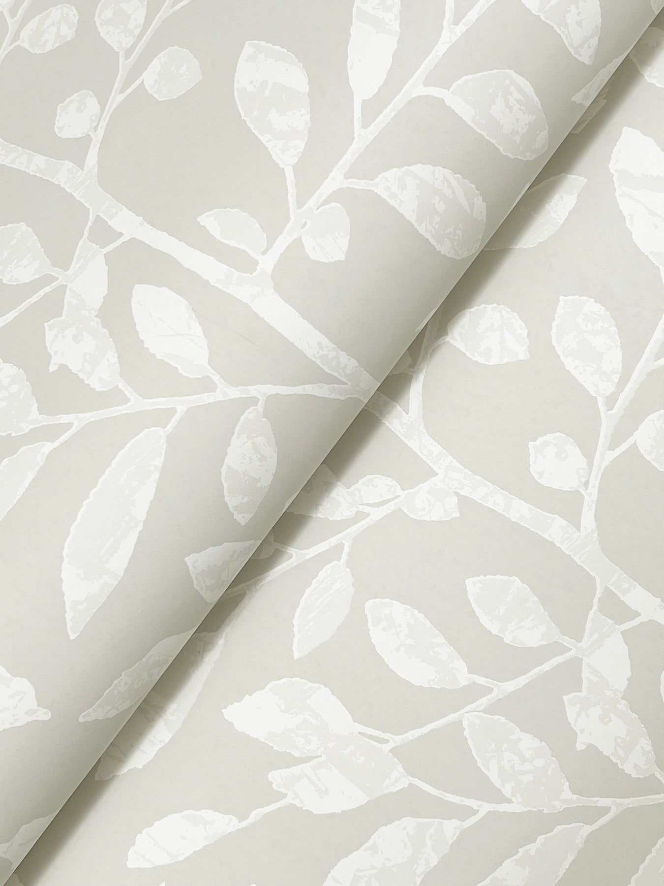 York Wallcoverings A-Street Prints Sagecrest Light Grey Sapling Wallpaper Botanical Modern Light Grey  Wallpaper - 4177-83307