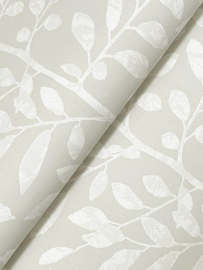 York Wallcoverings A-Street Prints Sagecrest Light Grey Sapling Wallpaper Botanical Modern Light Grey  Wallpaper - 4177-83307