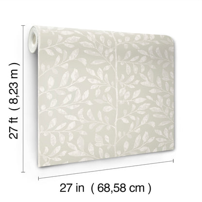York Wallcoverings A-Street Prints Sagecrest Light Grey Sapling Wallpaper Botanical Modern Light Grey  Wallpaper - 4177-83307