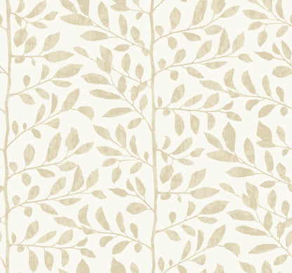 York Wallcoverings A-Street Prints Sagecrest Platinum Sapling Wallpaper Botanical Modern Platinum  Wallpaper - 4177-83308