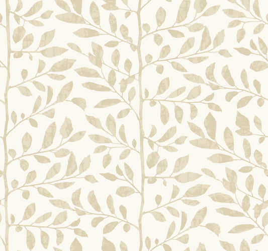 York Wallcoverings A-Street Prints Sagecrest Platinum Sapling Wallpaper Botanical Modern Platinum  Wallpaper - 4177-83308