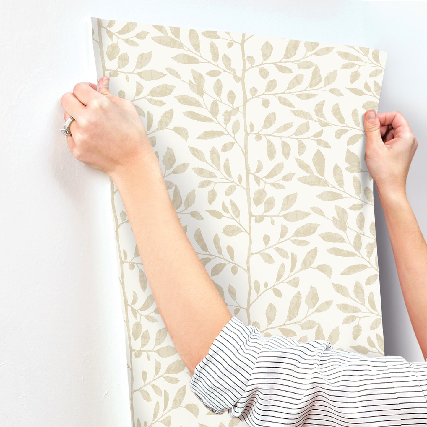 York Wallcoverings A-Street Prints Sagecrest Platinum Sapling Wallpaper Botanical Modern Platinum  Wallpaper - 4177-83308