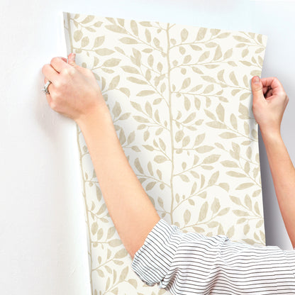 York Wallcoverings A-Street Prints Sagecrest Platinum Sapling Wallpaper Botanical Modern Platinum  Wallpaper - 4177-83308