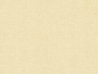 York Wallcoverings A-Street Prints Alba Cream Open Weave Wallpaper Graphics Transitional Cream  Wallpaper - 4193-7404