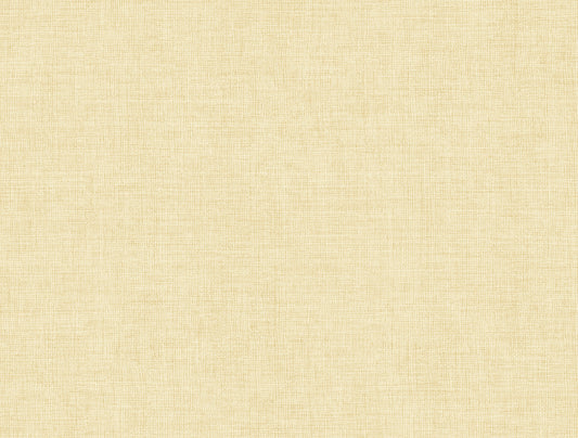 York Wallcoverings A-Street Prints Alba Cream Open Weave Wallpaper Graphics Transitional Cream  Wallpaper - 4193-7404