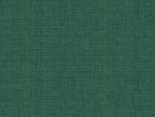 York Wallcoverings A-Street Prints Alba Evergreen Open Weave Wallpaper Graphics Transitional Evergreen  Wallpaper - 4193-7413