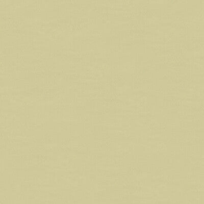 KRAVET CONTRACT  TEXTURE BEIGE,BEIGE,   - 4202.16.0