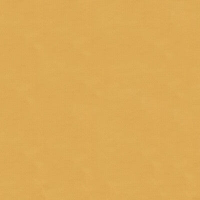 KRAVET CONTRACT  TEXTURE GOLD,GOLD,   - 4202.4.0