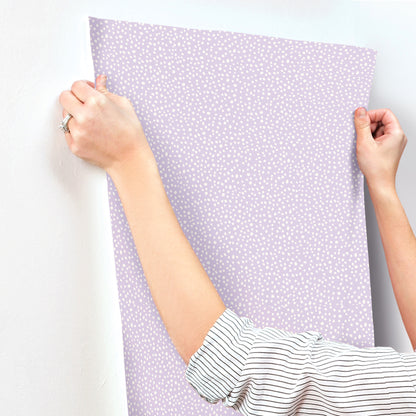 York Wallcoverings Advantage Dotty Lavender Petite Polka Dot Wallpaper Graphics Whimsical Lavender  Wallpaper - 4203-27579