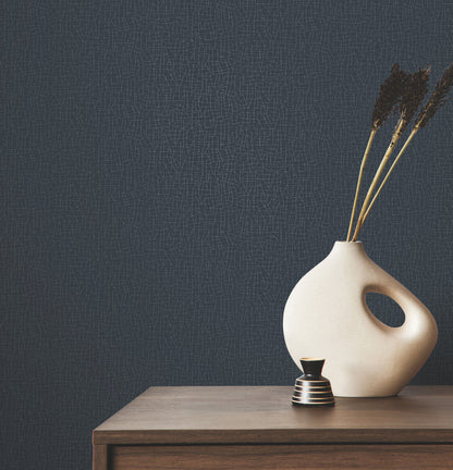 York Wallcoverings Warner Cary Dark Blue Petite Maze Wallpaper Graphics Transitional Dark Blue  Wallpaper - 4207-5408