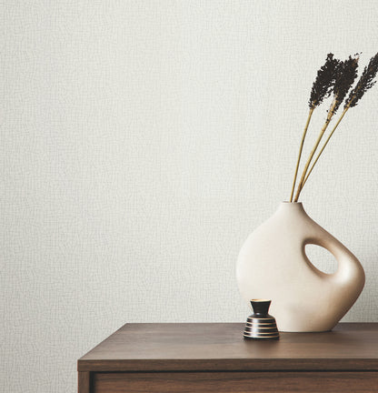 York Wallcoverings Warner Cary White Petite Maze Wallpaper Graphics Transitional White  Wallpaper - 4207-5410