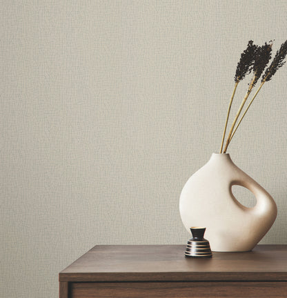 York Wallcoverings Warner Cary Taupe Petite Maze Wallpaper Graphics Transitional Taupe  Wallpaper - 4207-5411