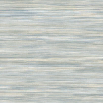 York Wallcoverings Warner Lorn Light Blue Faux Grasscloth Wallpaper Graphics Transitional Light Blue  Wallpaper - 4207-5440