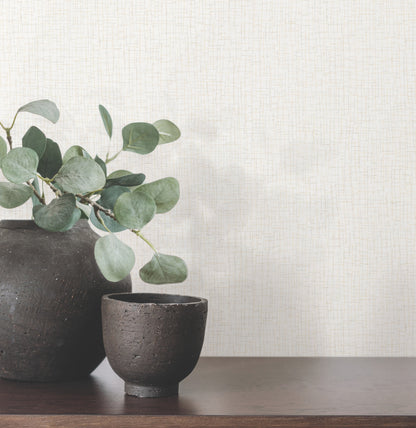 Two dark ceramic pots with eucalyptus stems on a dark wood surface against a neutral textured wall.