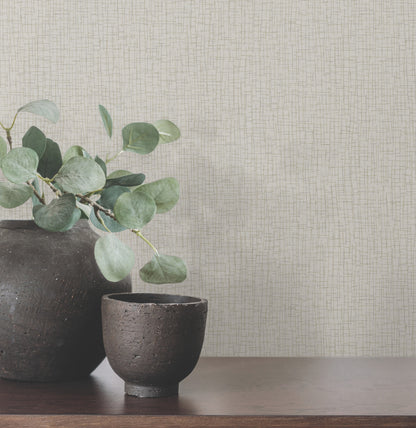 York Wallcoverings Warner Aden Light Grey Linear Abstract Wallpaper Abstract Transitional Light Grey  Wallpaper - 4207-5455