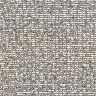 KRAVET COUTURE SHEER  SILVER,LIGHT GREY,METALLIC   - 4219.11.0