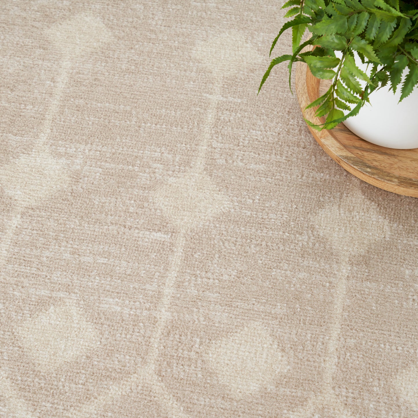 Beige textured rug with a subtle diamond pattern; a potted fern in a white pot sits on a round wooden tray in the top-right corner.
