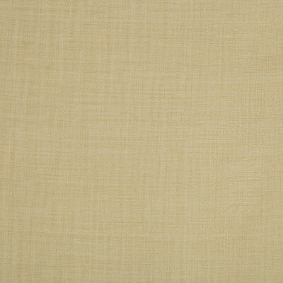 KRAVET BASICS SHEER TEXTURE BEIGE,BEIGE,   - 4250.16.0