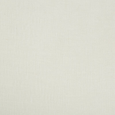 KRAVET BASICS SHEER TEXTURE WHITE,METALLIC,   - 4256.1.0