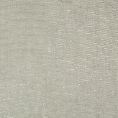 KRAVET BASICS SHEER TEXTURE GREY,METALLIC,   - 4256.11.0