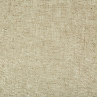 KRAVET BASICS SHEER TEXTURE BEIGE,METALLIC,   - 4256.16.0