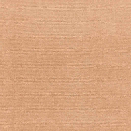 SCHUMACHER  PERFECT BASICS: VELVET GAINSBOROUGH VELVET VELVETS VELVETS BEIGE   - 42701