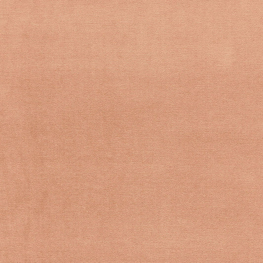 SCHUMACHER  PERFECT BASICS: VELVET GAINSBOROUGH VELVET VELVETS VELVETS TAN   - 42702