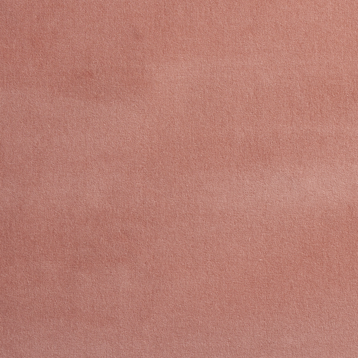 SCHUMACHER  PERFECT BASICS: VELVET GAINSBOROUGH VELVET VELVETS VELVETS PETAL   - 42705