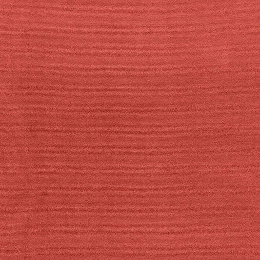SCHUMACHER  PERFECT BASICS: VELVET GAINSBOROUGH VELVET VELVETS VELVETS ZINNIA   - 42710