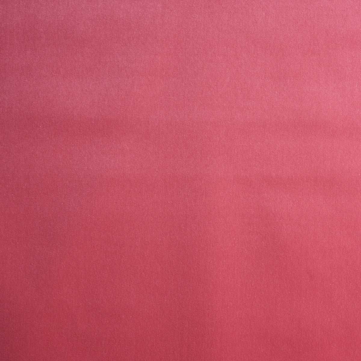 SCHUMACHER  PERFECT BASICS: VELVET GAINSBOROUGH VELVET VELVETS,HIGH PERFORMANCE VELVETS,HIGH PERFORMANCE HIBISCUS   - 42711