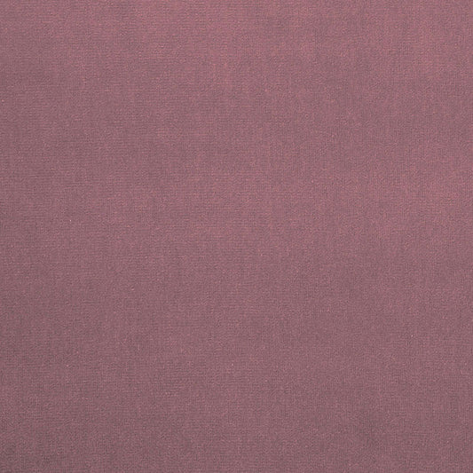 SCHUMACHER  PERFECT BASICS: VELVET GAINSBOROUGH VELVET VELVETS,HIGH PERFORMANCE VELVETS,HIGH PERFORMANCE TULIPWOOD   - 42729