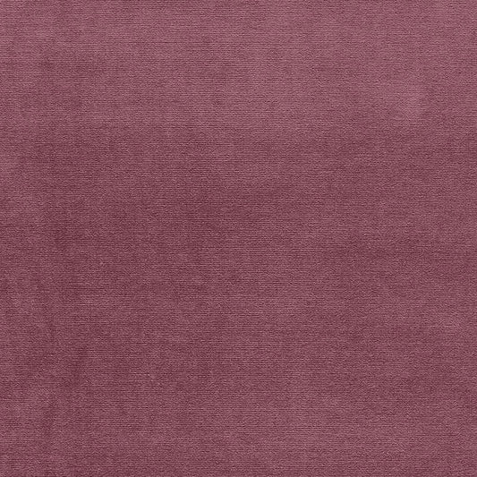 SCHUMACHER  PERFECT BASICS: VELVET GAINSBOROUGH VELVET VELVETS VELVETS AMETHYST   - 42730